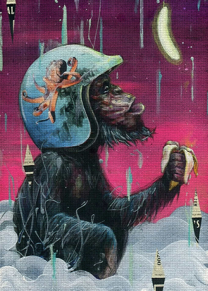 Monkey universe