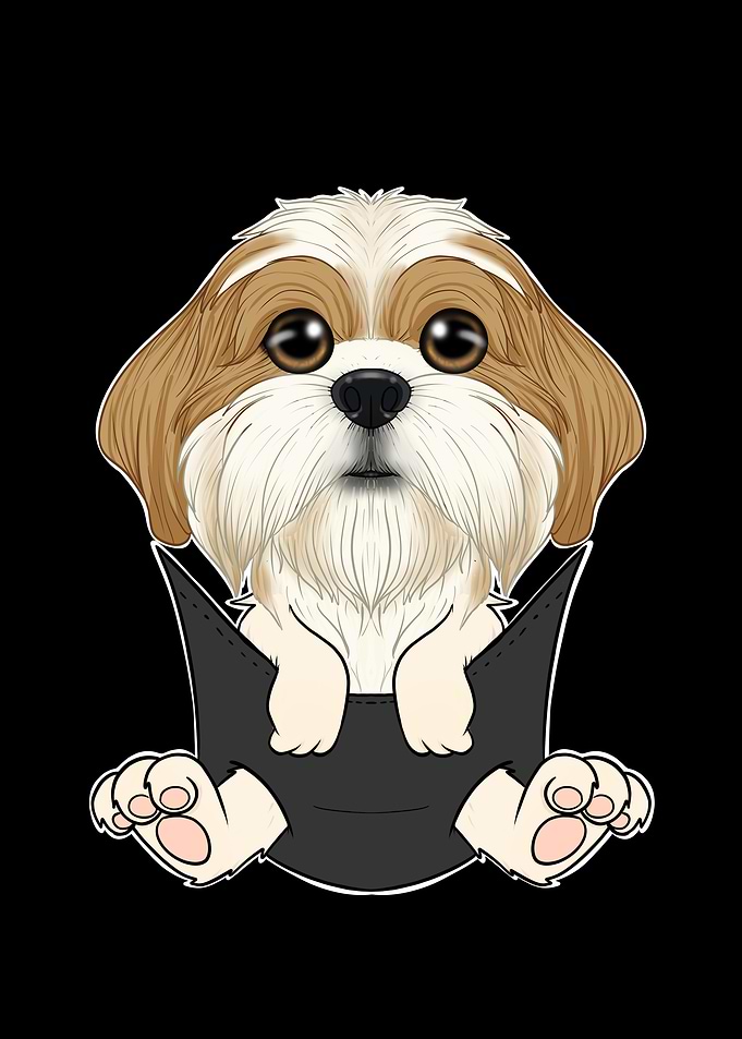 Shih Tzu Puppy In Pocket