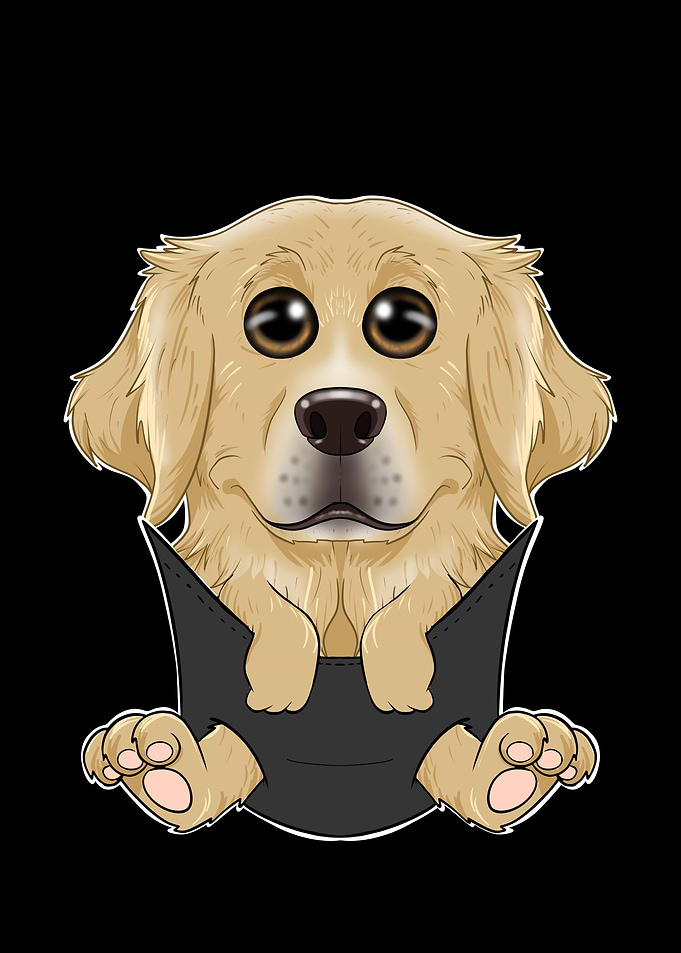 Golden Retriever Puppy