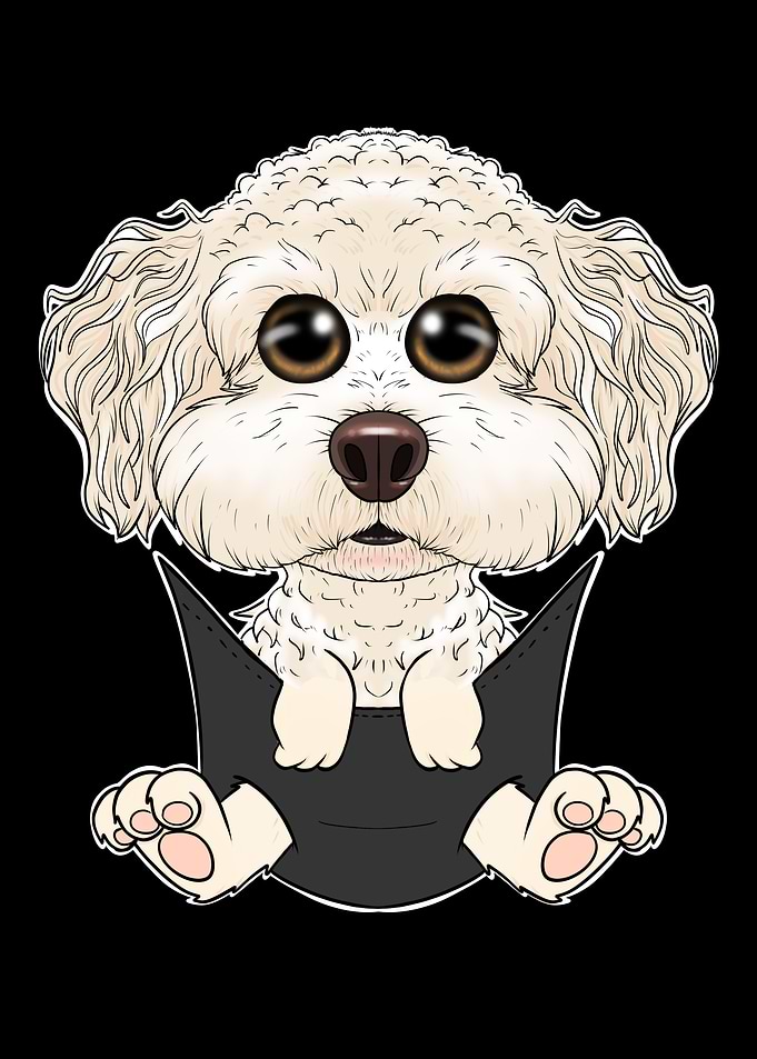 Bichon Frise Puppy Pocket
