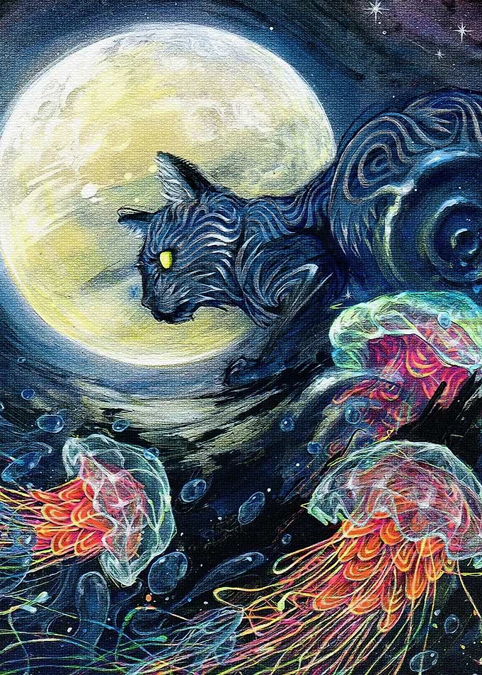 Cat galaxy