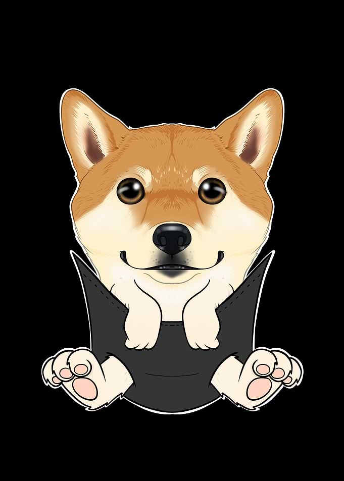 Shiba Inu Puppy In Pocket