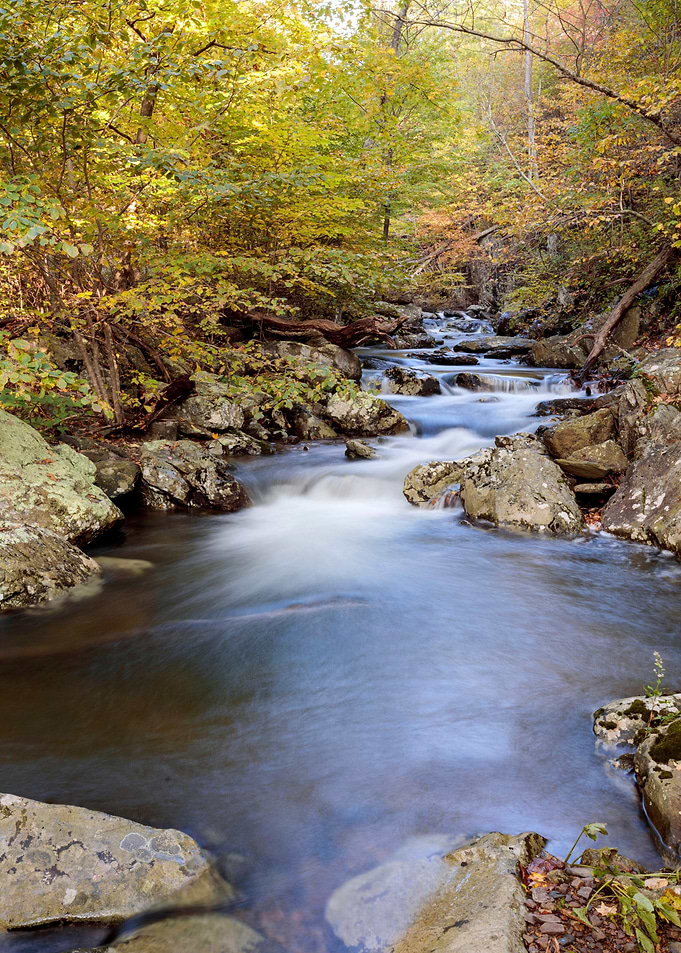 Waterfall in Forest Nature