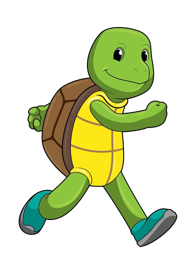 Turtle Runner Running