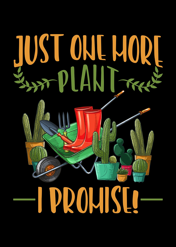 Cactus Plants Funny