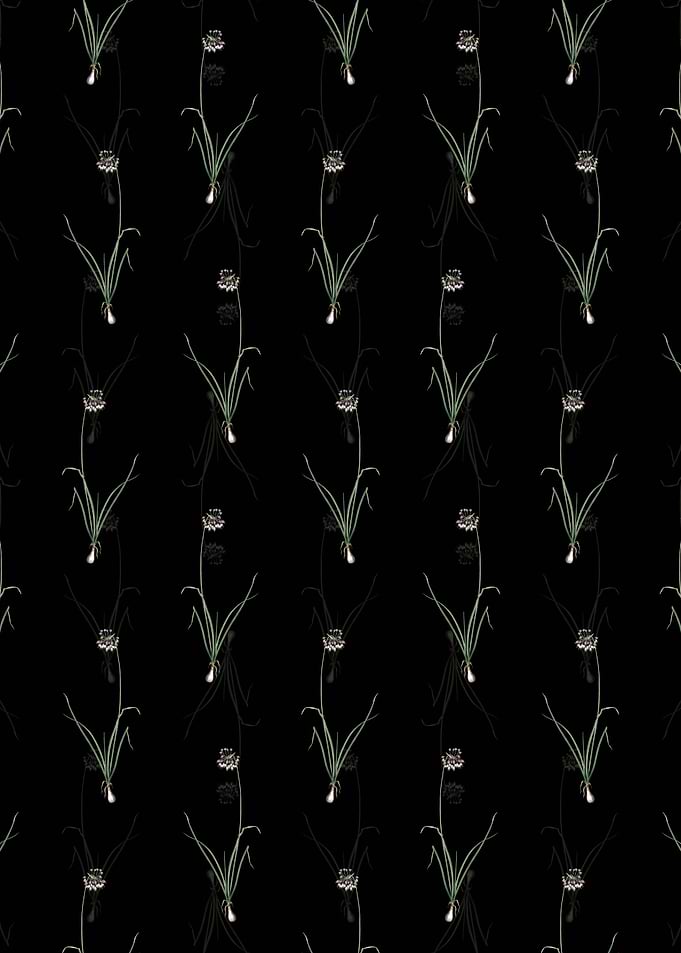 Nodding Onion Pattern