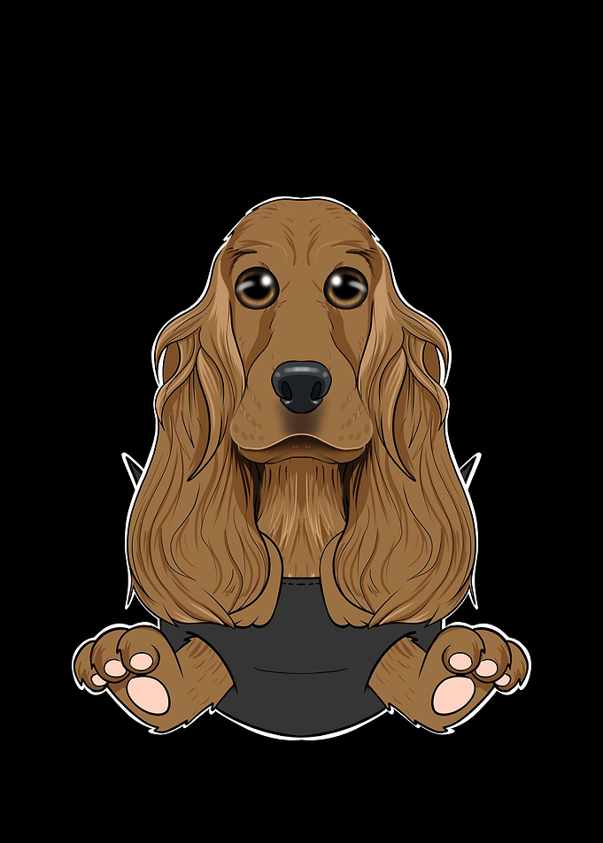Cocker Spaniel Puppy
