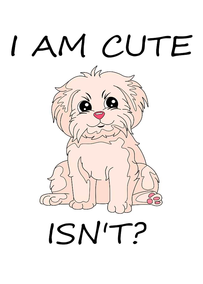 I Am Cute Isnt