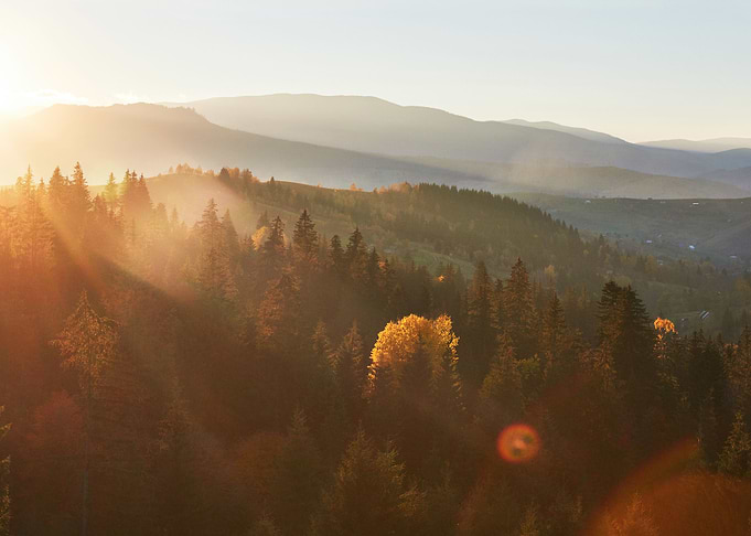 Nature
