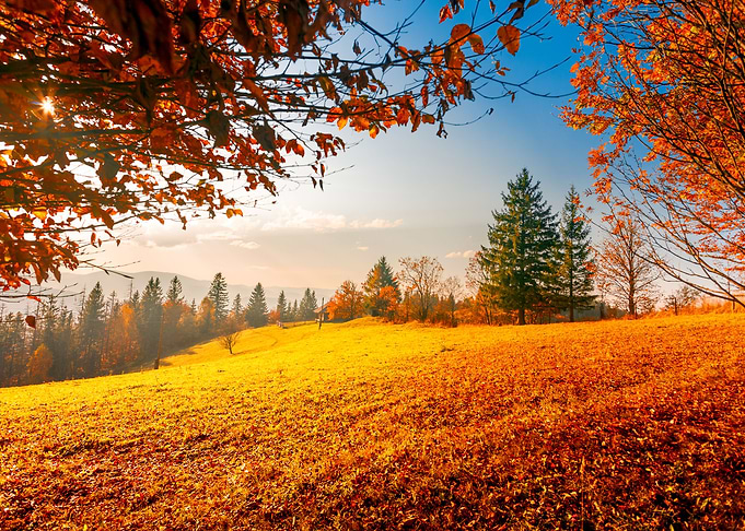 Colorful autumn landscape
