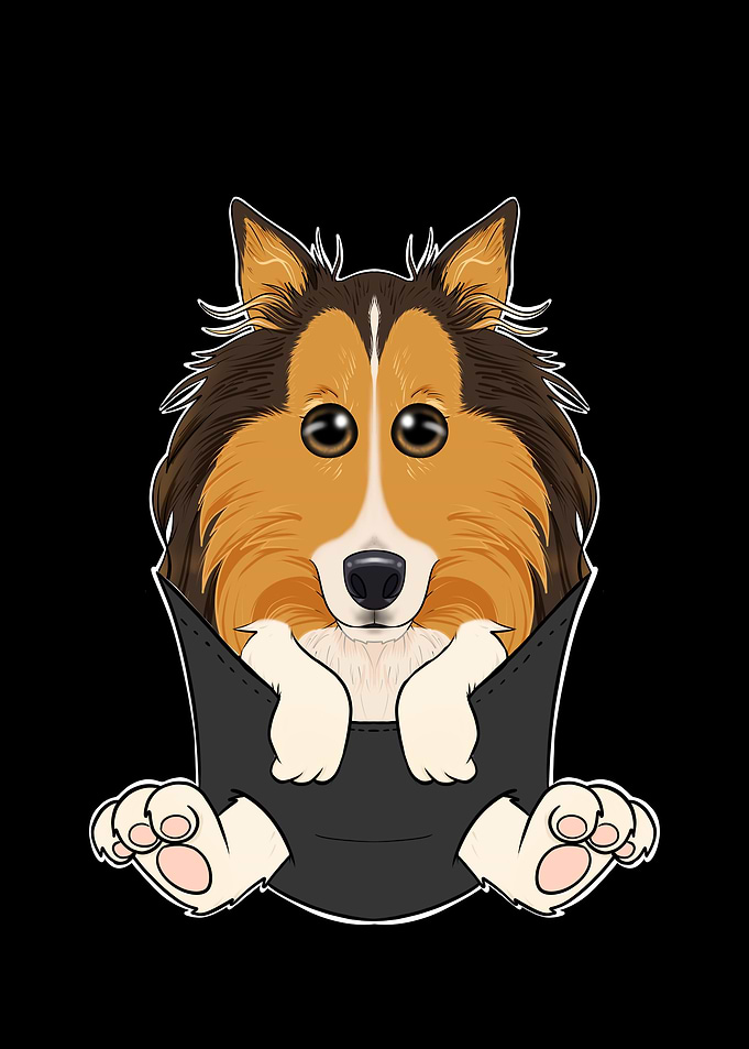 Collie Puppy In Pocket