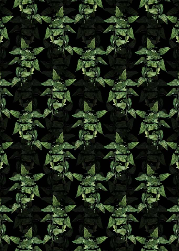 Common Smilax Pattern