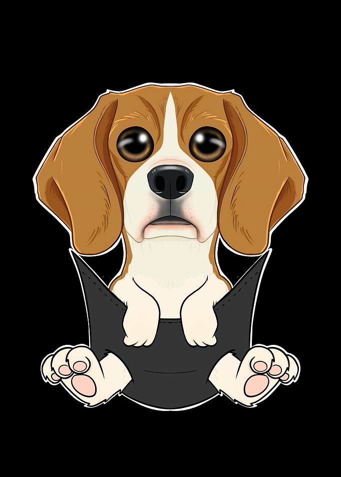 Beagle Puppy In Pocket