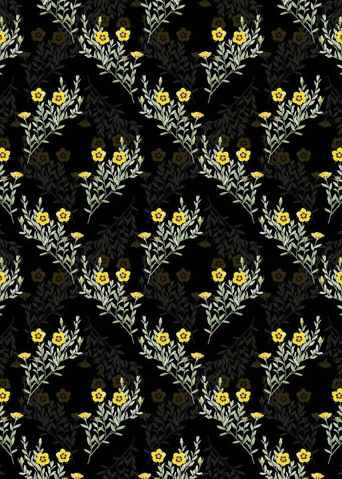 Black Rosa Persica Pattern