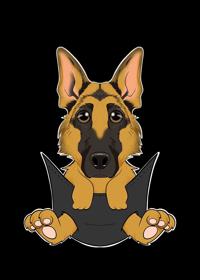 German Shepherd Puppy