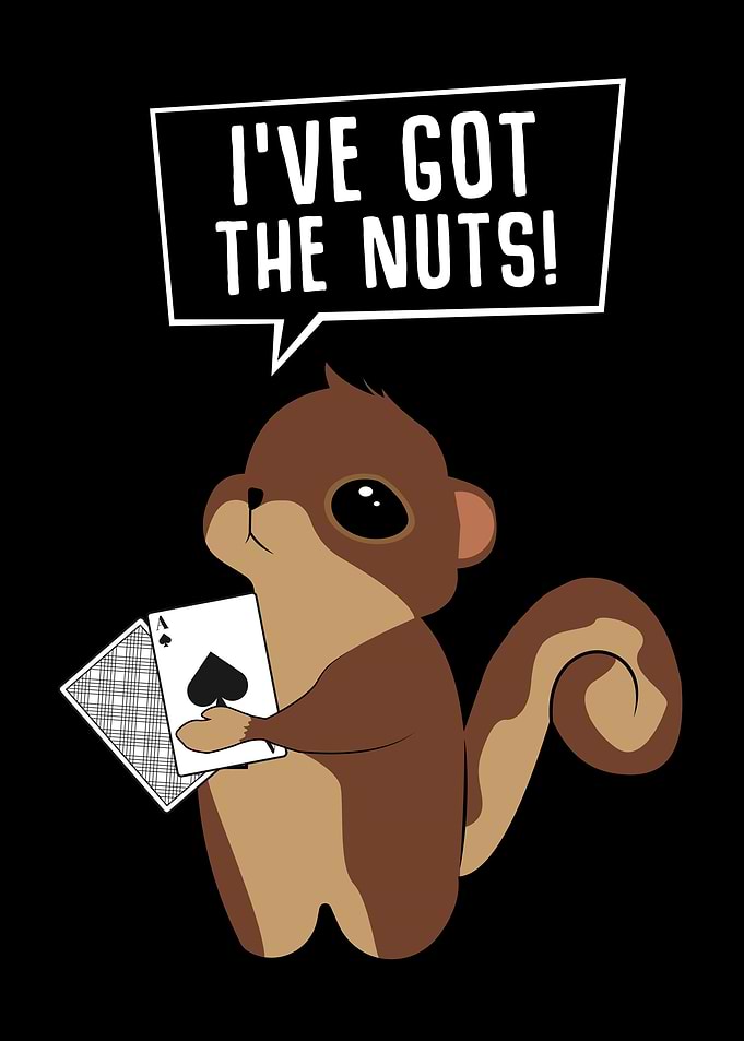 Poker Squirrel Rodent