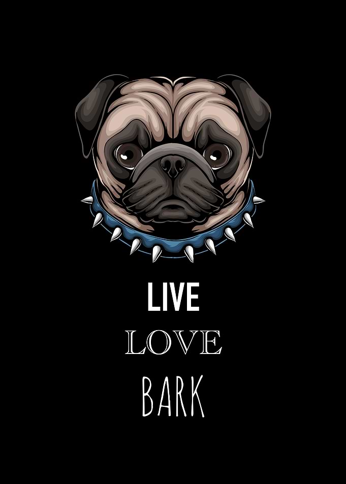 Just A Girl Who Loves Dogs