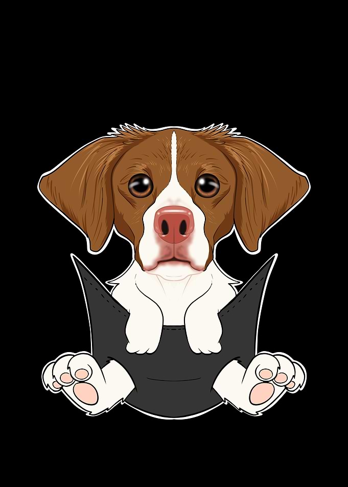 Brittany Puppy In Pocket