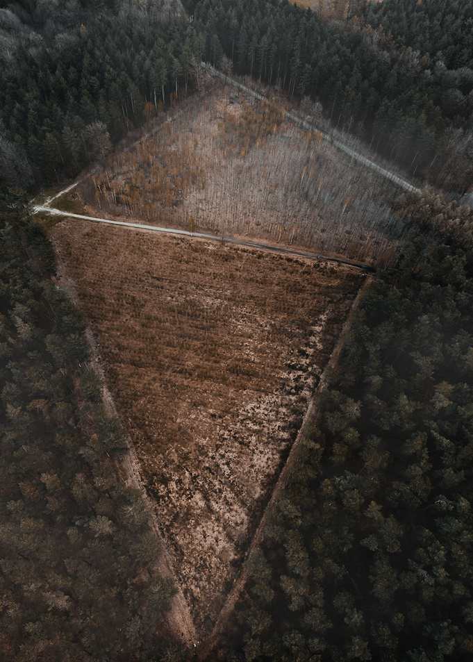 Kite from the air