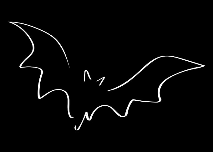 Bat Line Art Minimal