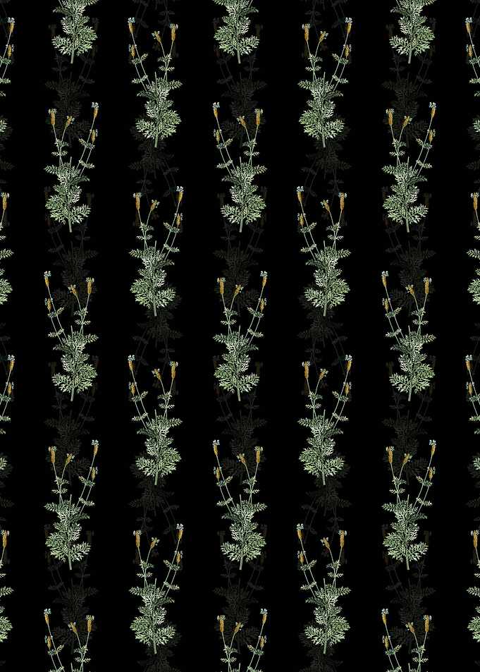 Spanish Lavender Pattern