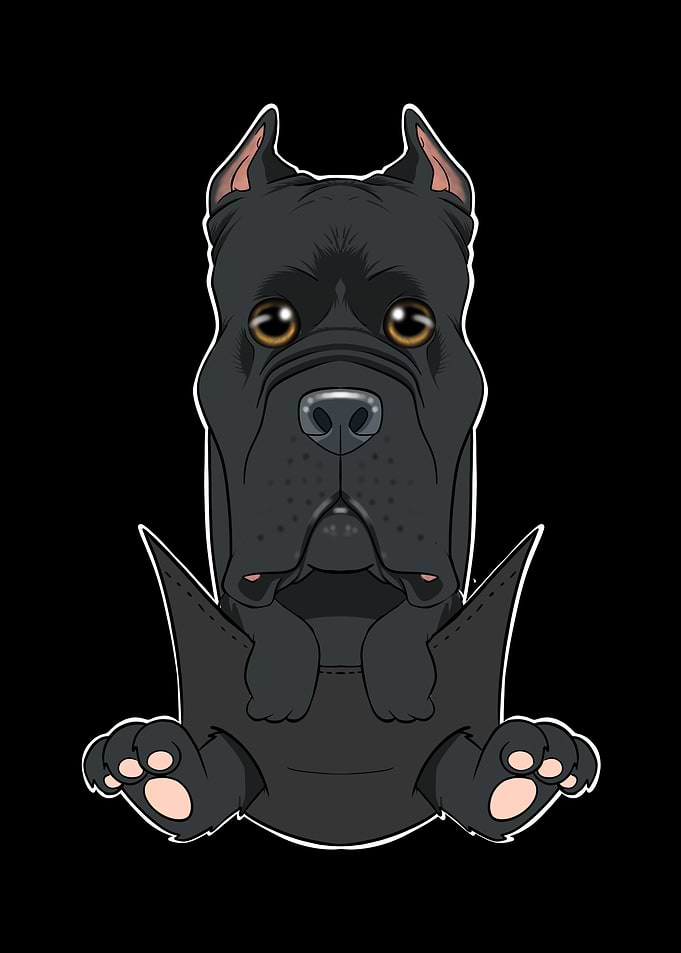 Cane Corso Puppy In Pocket
