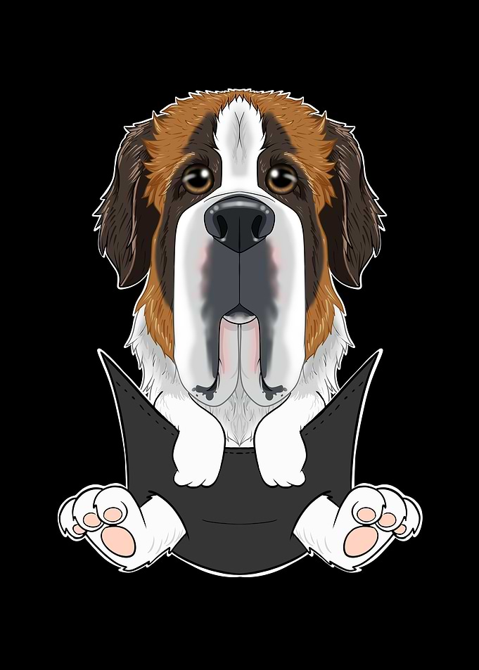 Saint Bernard Puppy