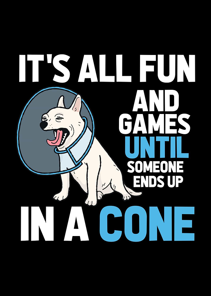 Doctor Dog Cone