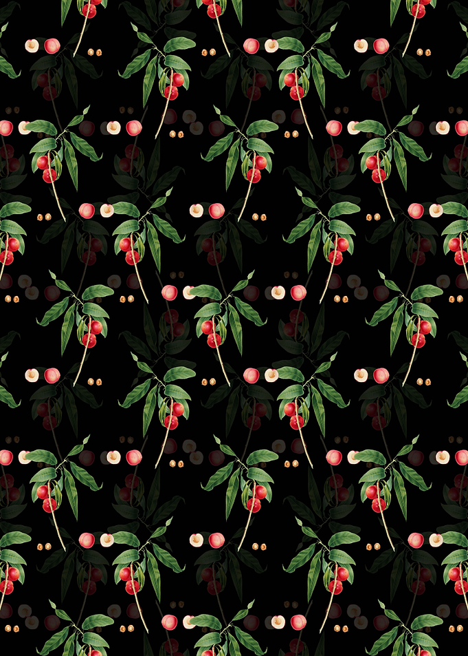 Floral Apricot Pattern