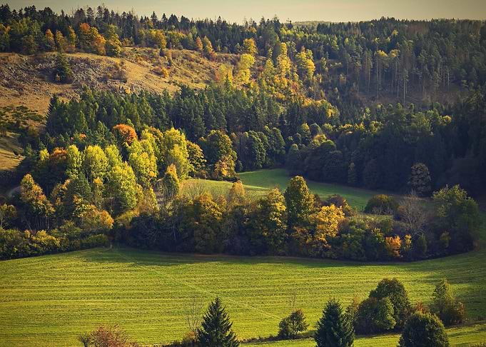 Nature