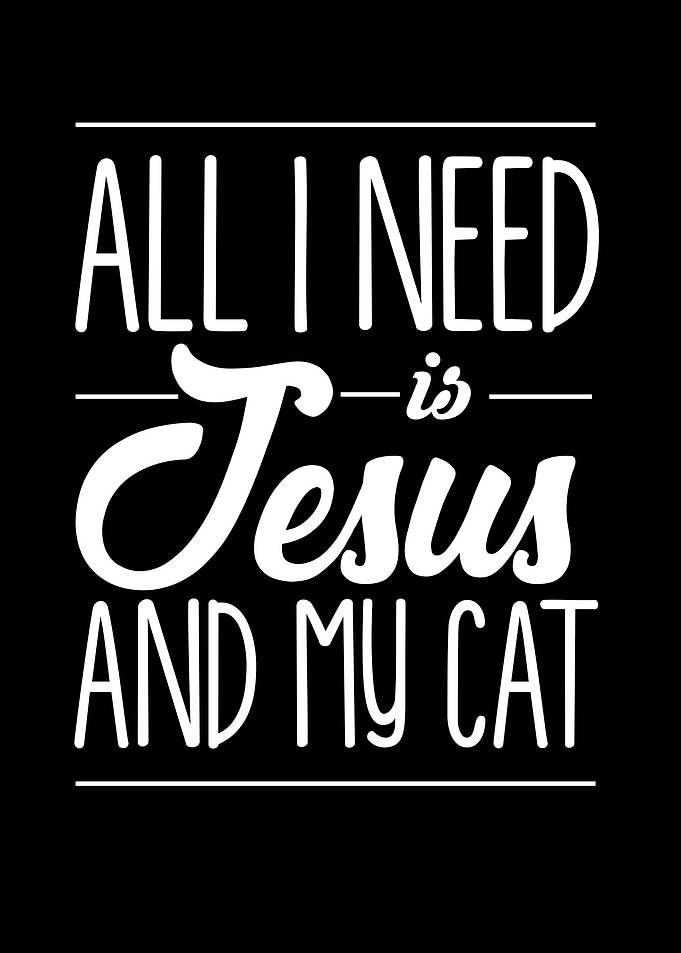 All I Need Is Jesus And My