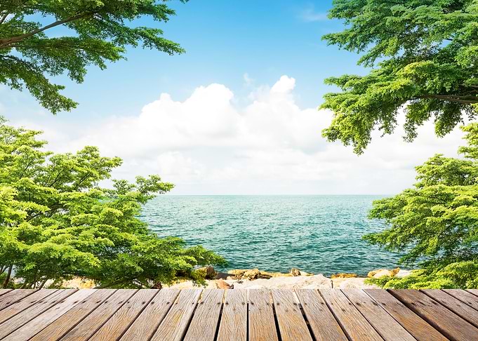 Wooden walkway at coast