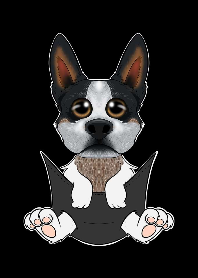 Australian Cattle Dog