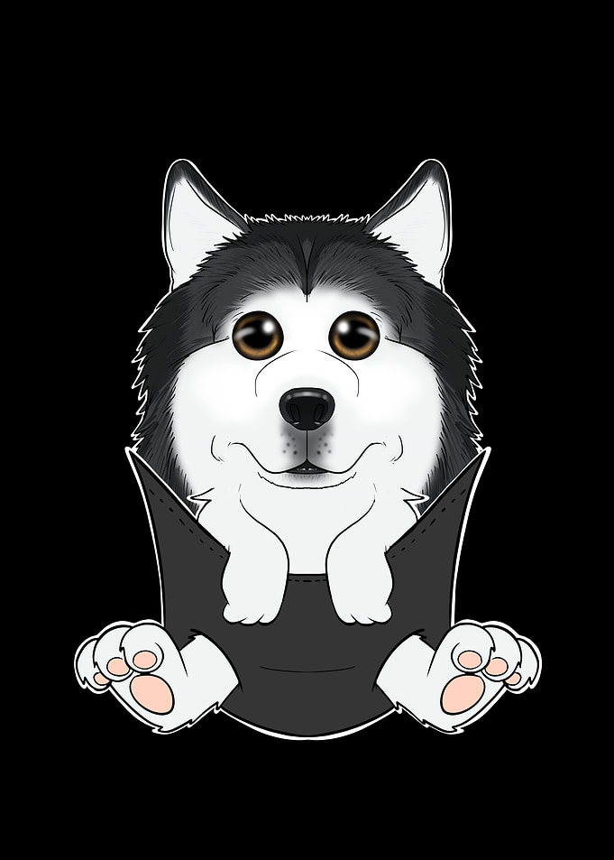 Husky Puppy In Pocket