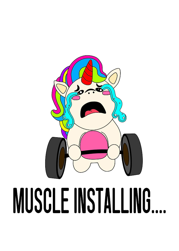 Muscle Installing