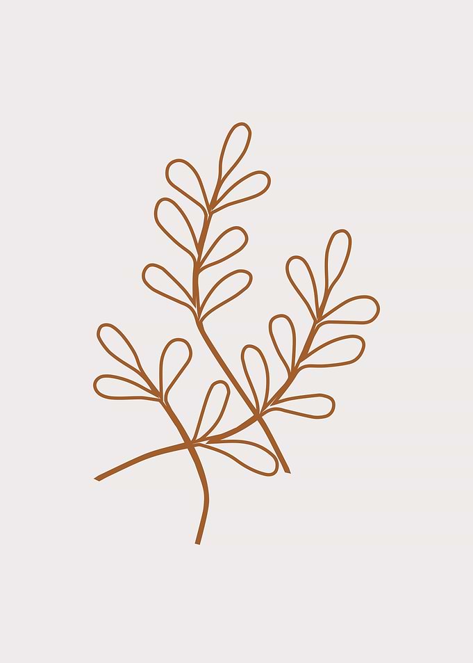 Botanical leaf line art
