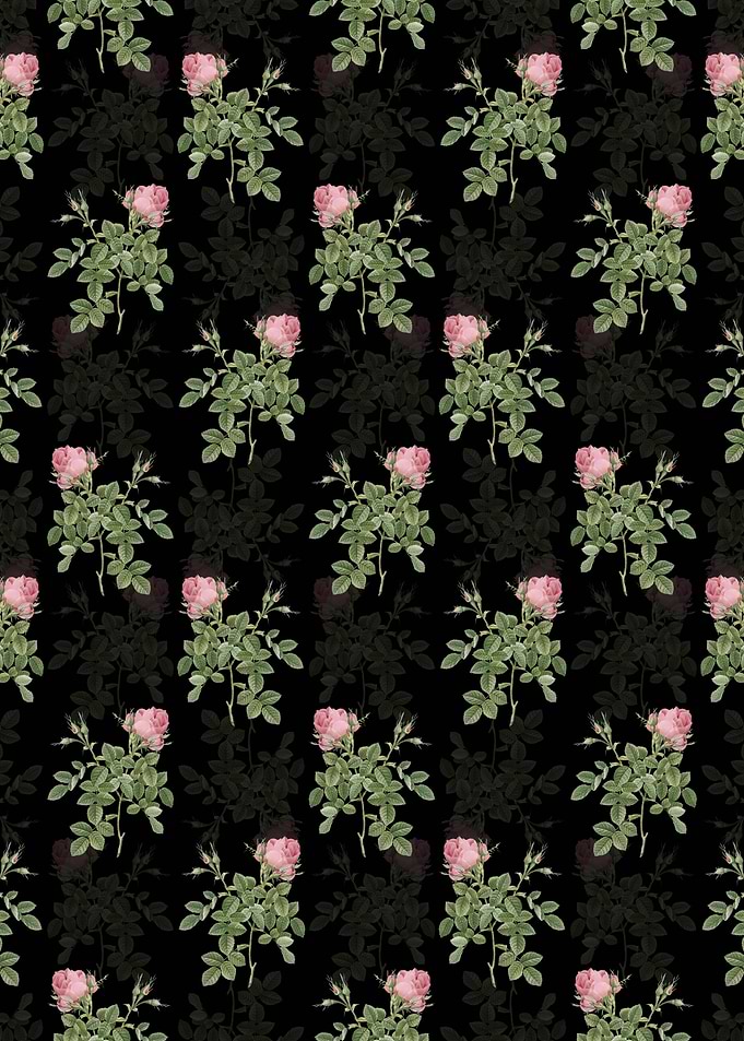 Dwarf Damask Rose Pattern
