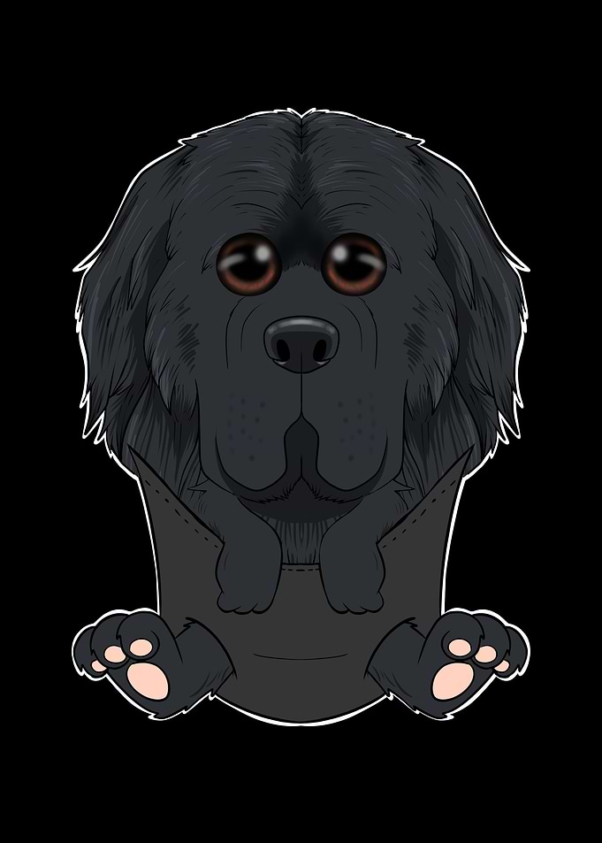 Newfoundland Puppy Pocket