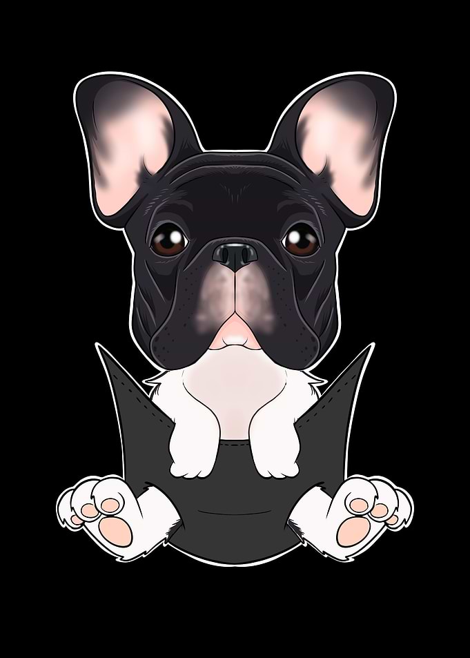 French Bulldog Puppy