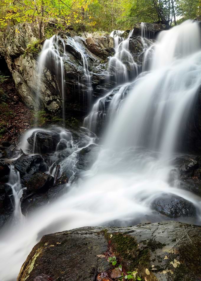 Waterfall in Forest Nature