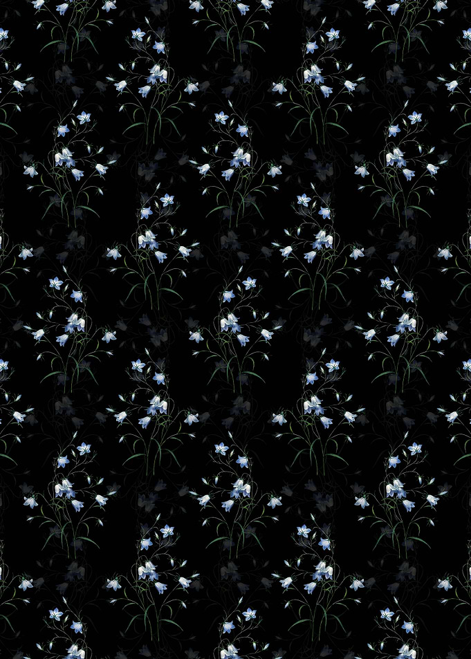 Black Campanule Clochette