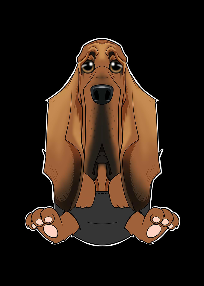 Bloodhound Puppy In Pocket