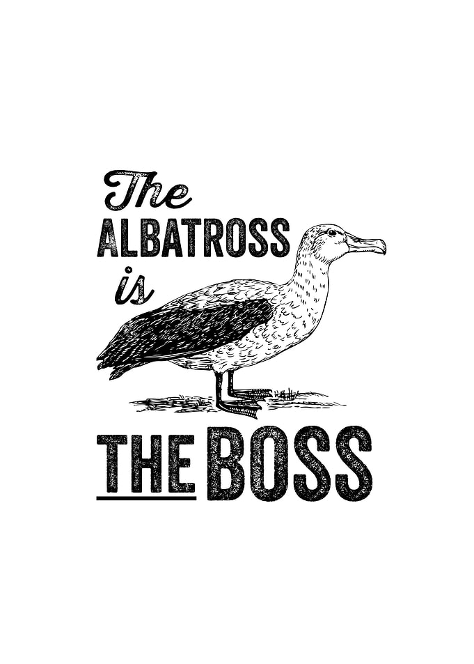 The albatross is the boss