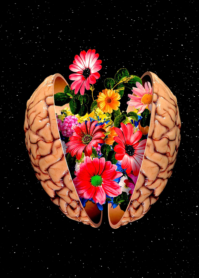 A Beautiful Mind