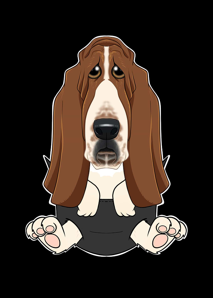 Basset Hound Puppy
