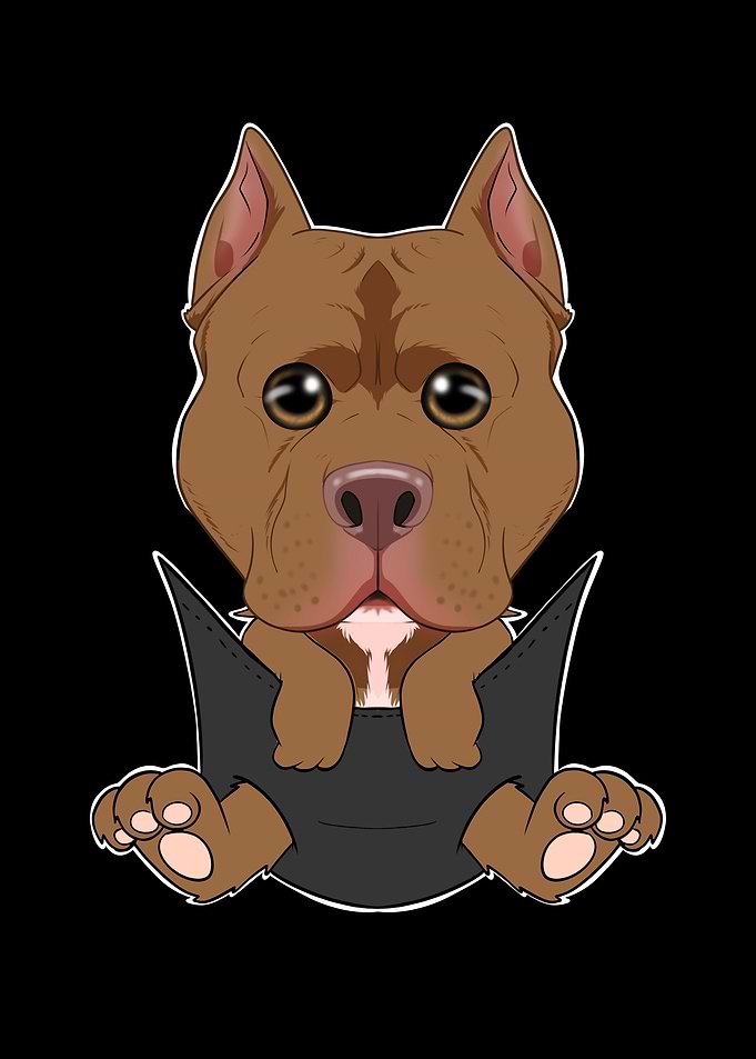 Pitbull Puppy In Pocket