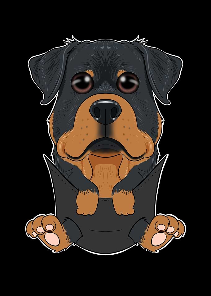 Rottweiler Puppy In Pocket