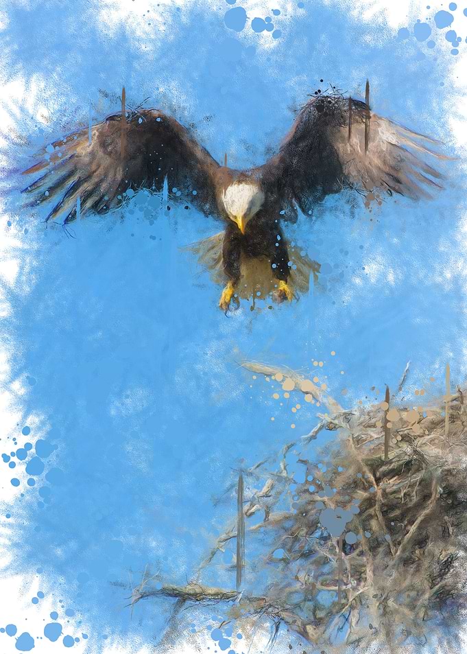 flying eagle