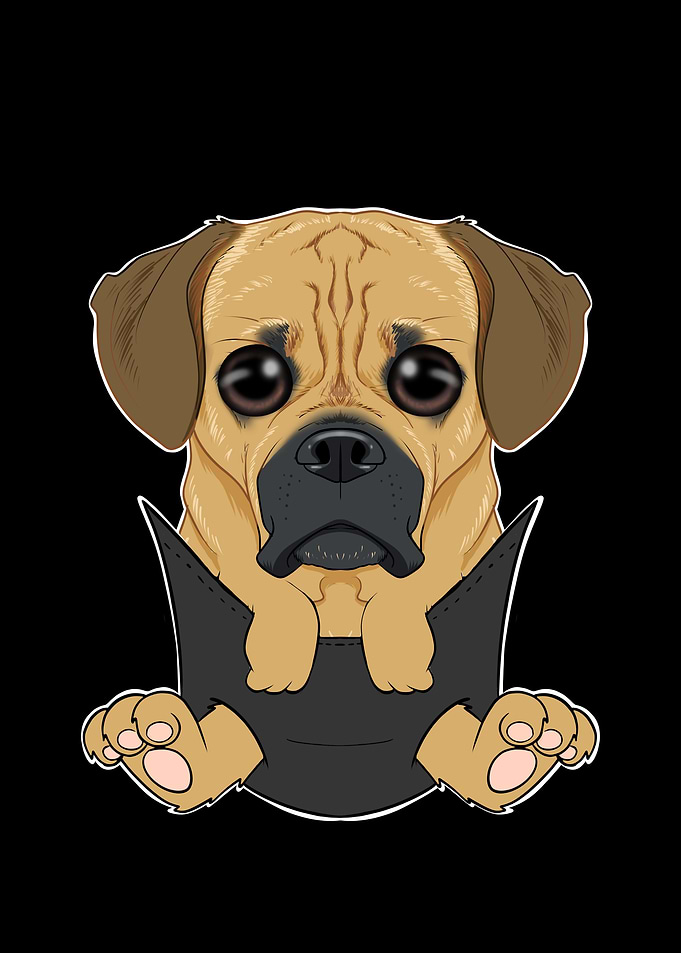 Puggle Puppy In Pocket