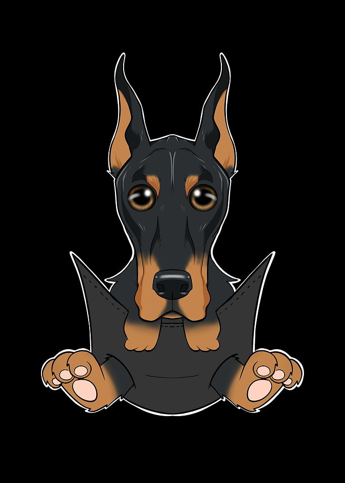 Doberman Puppy In Pocket